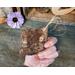 This image shows the back of a piece of birch bark used to make the gift tag. The bark has a natural piece of twine tied to the corner. 